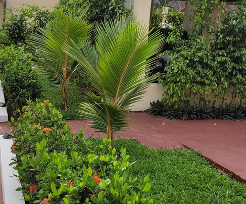 Residence Eburnea主图