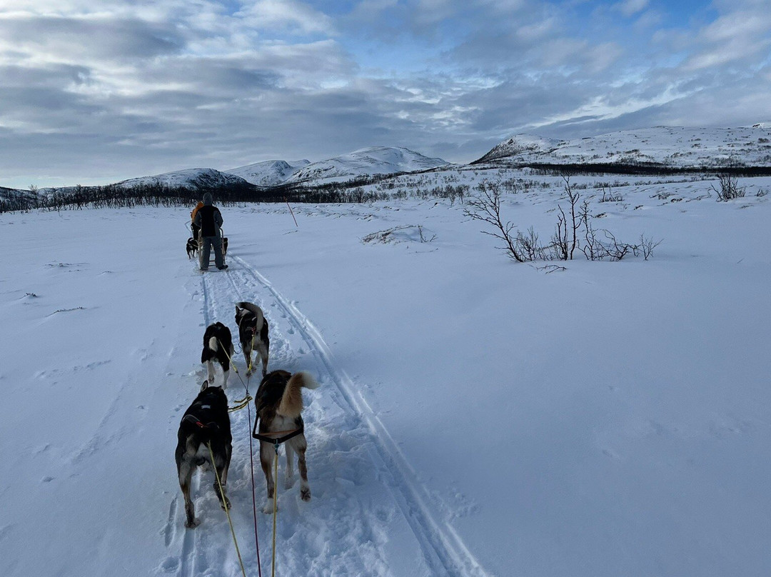 Seljeslett Gård-Russenes必去景点