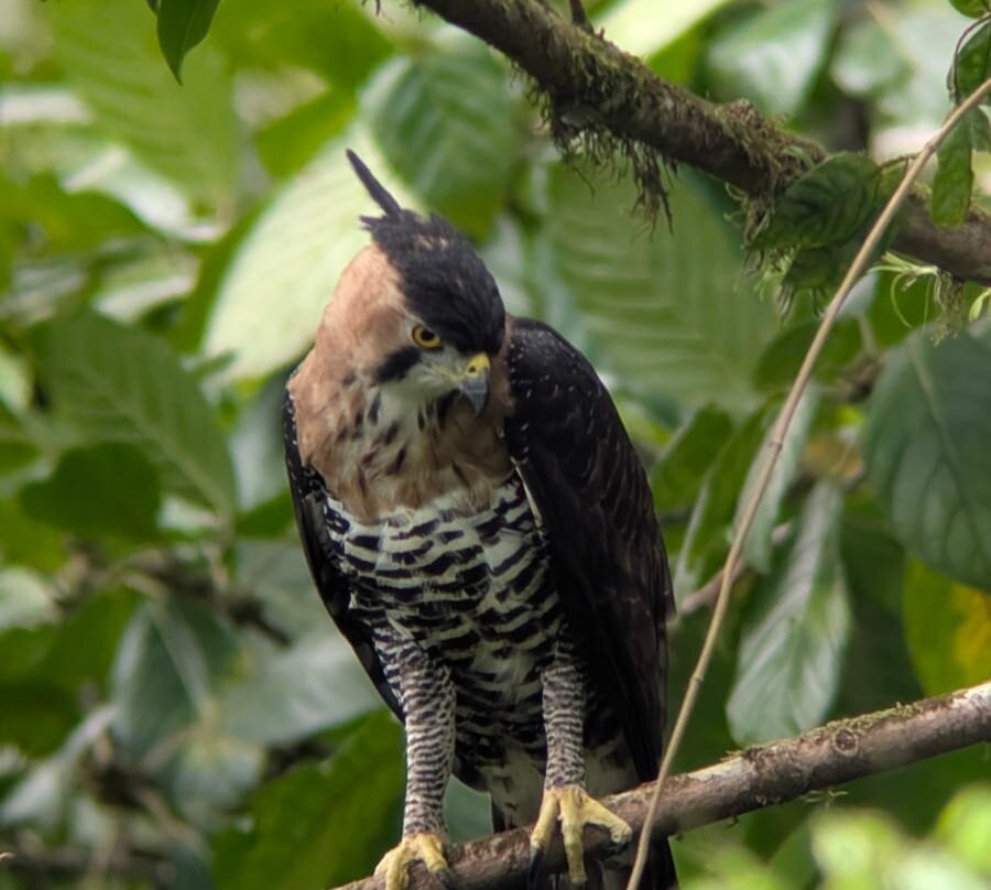 Birding Experiences景点图片