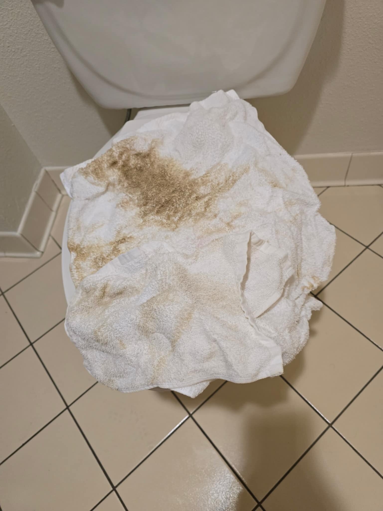 Holiday Inn Express & Suites Tyler South By IHG-官方