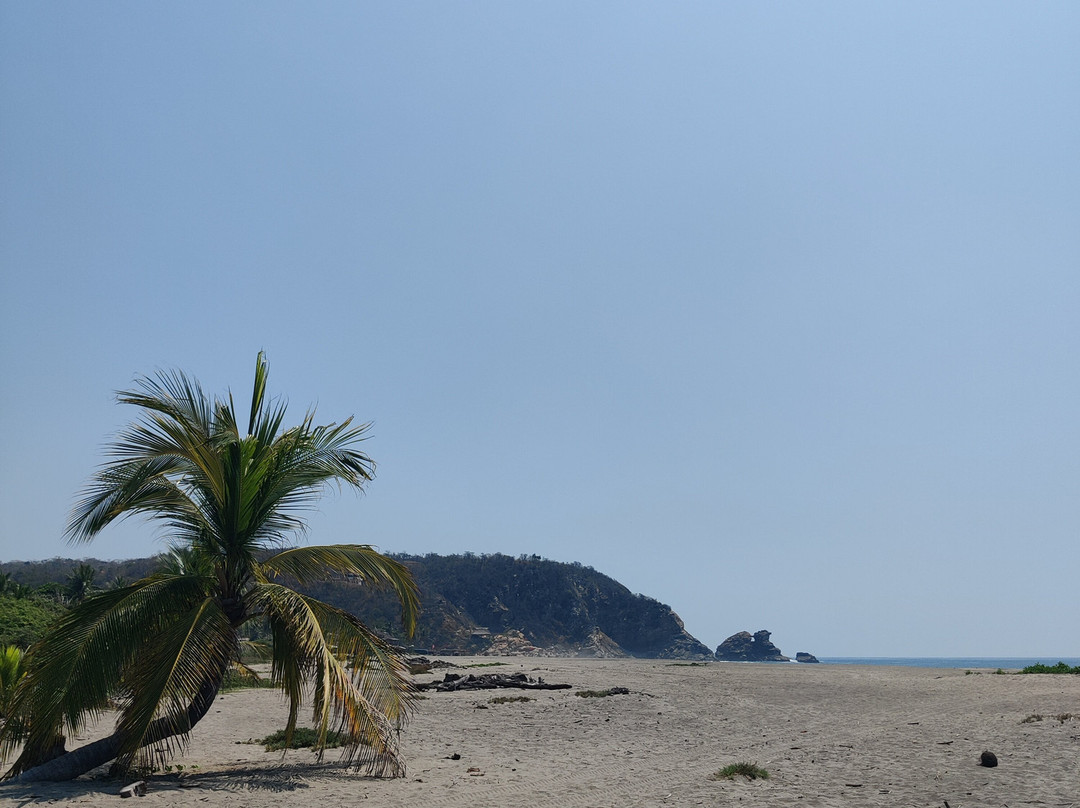 Laguna Ventanilla-Mazunte必去景点