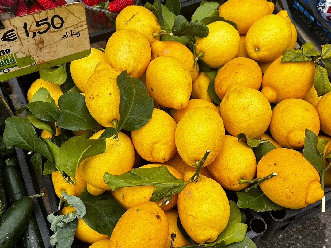 Mercato del Sabato-奥斯图尼必去景点