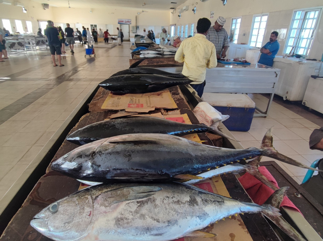 Fish Market-马斯喀特必去景点