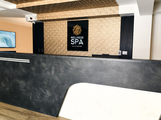 Wellness Spa Movil Center