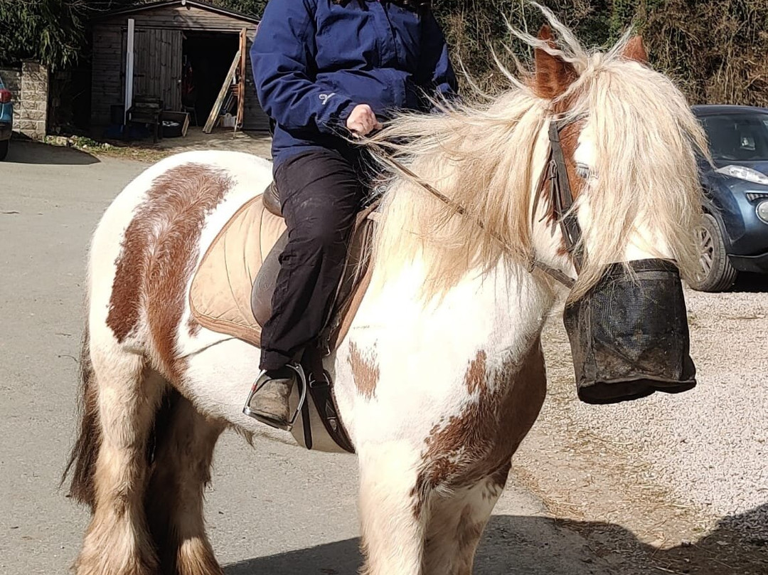 Penycoed Riding Stables-Pant必去景点
