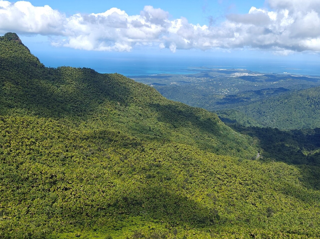 Mt. Britton Lookout Tower-Rio Grande必去景点