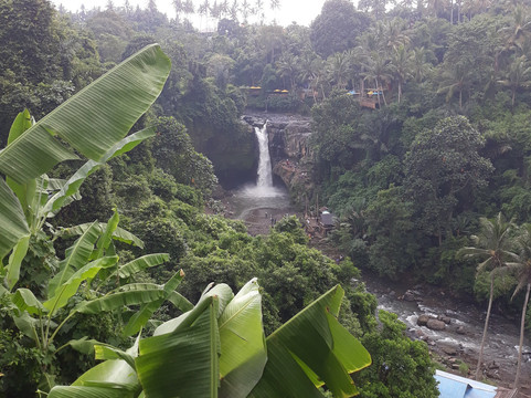 Bagus Holidays Bali - Day Tours-沙努尔必去景点