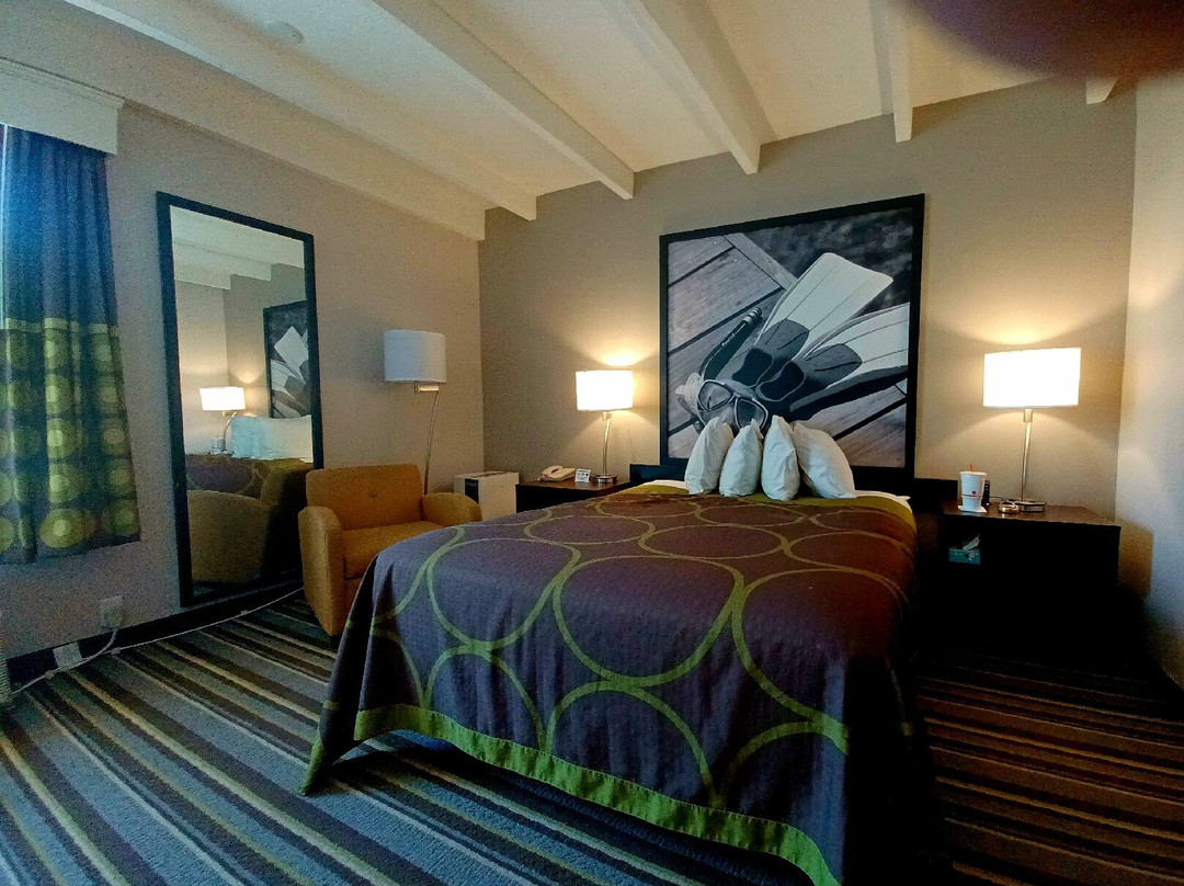 Super 8 By Wyndham Melbourne主图