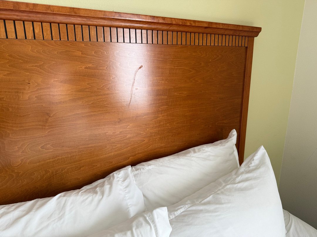 新伊比利亚烛木套房酒店主图