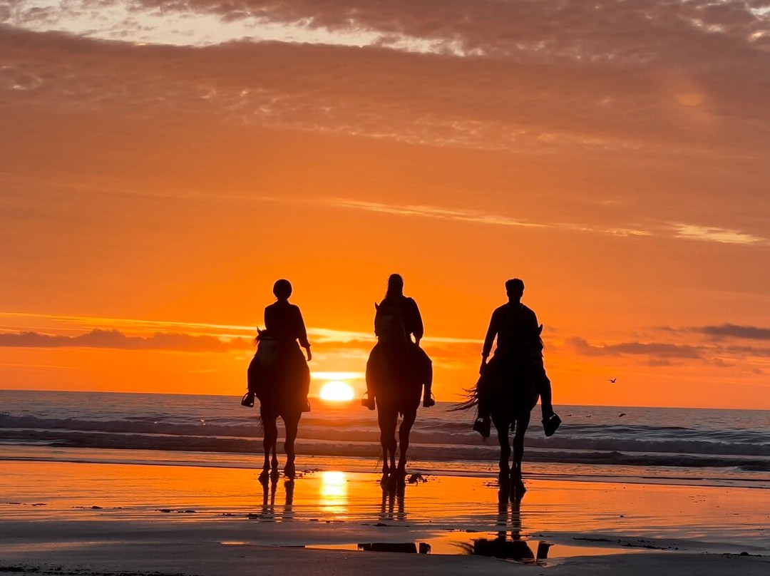 Ocean Ranch Essaouira