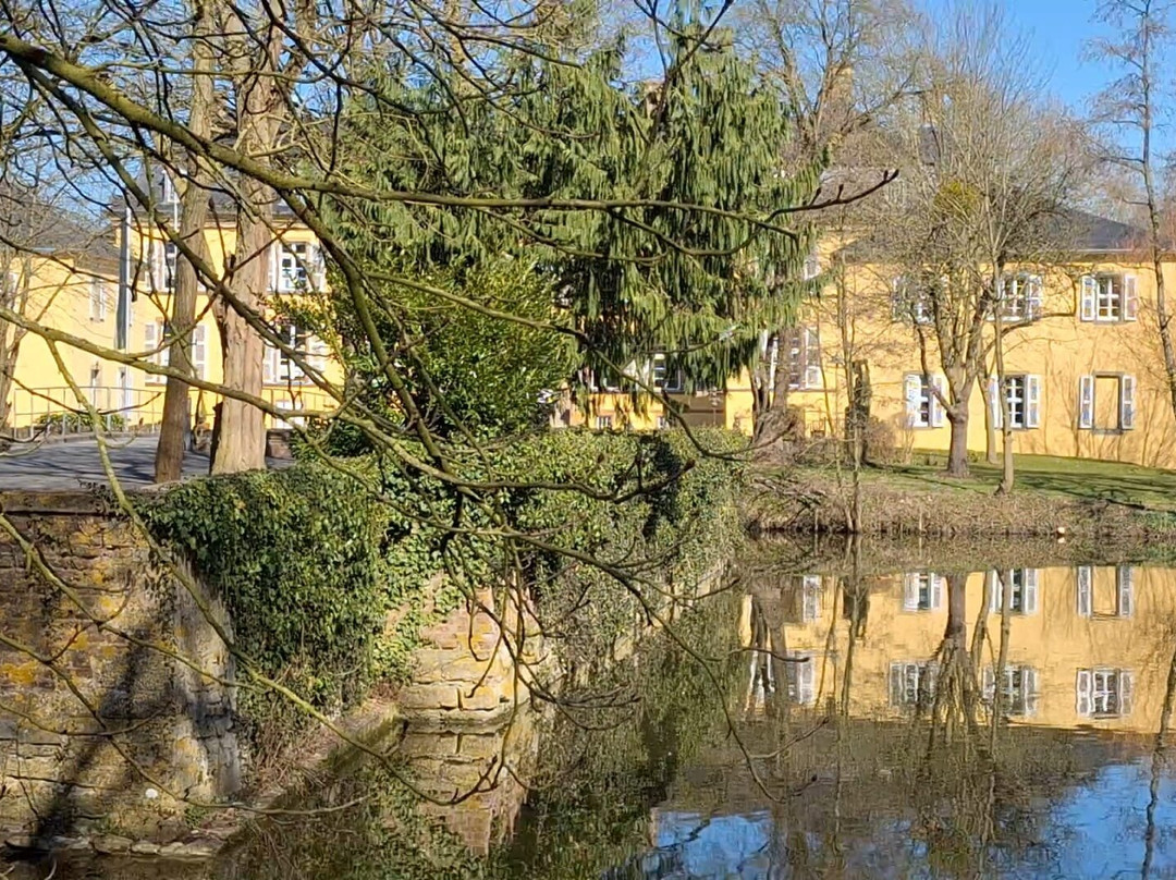 Schloss Crassenstein景点图片