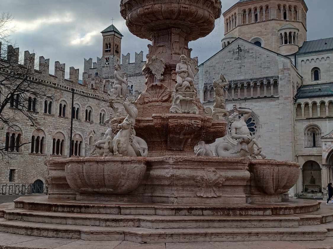 Fontana del Nettuno景点图片