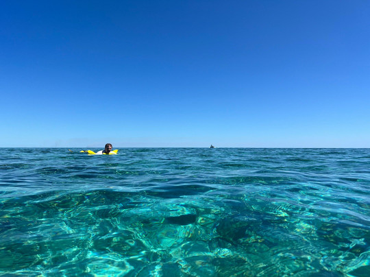 ​​​​​​​​​Ocean Motion Water Sports-弗里波特必去景点