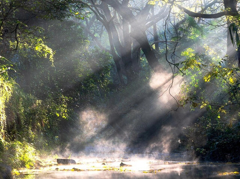 Hangzhou One-Day Tour-杭州市必去景点