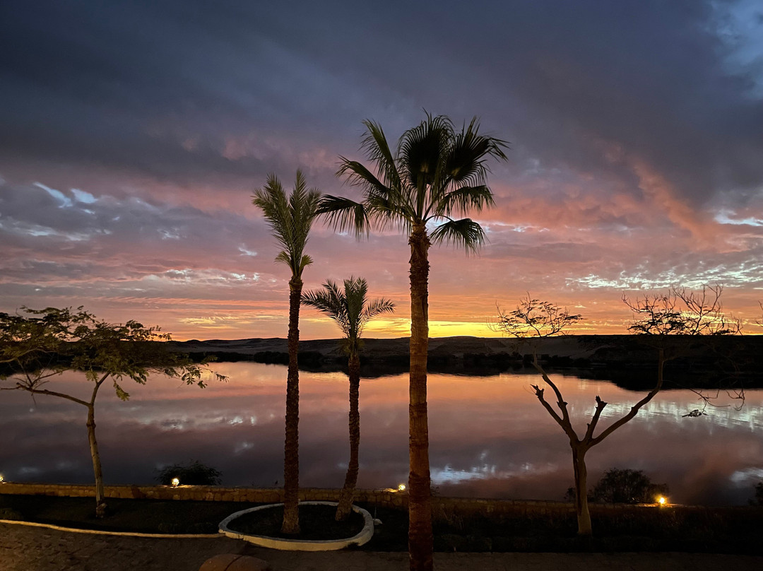 Seti Abu Simbel Hotel主图