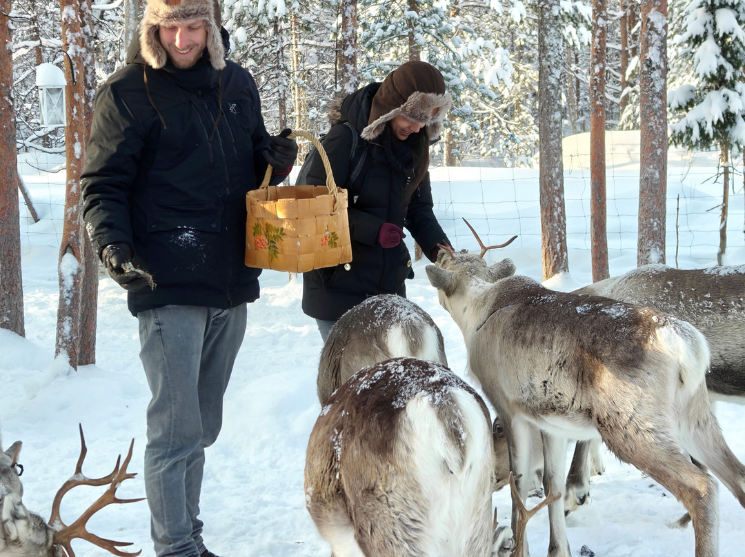Kentura Reindeer Farm-罗瓦涅米必去景点