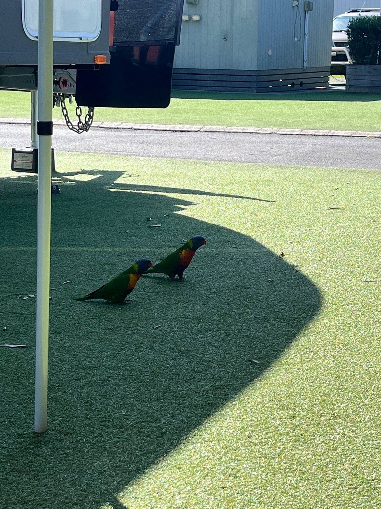 Holiday Haven Huskisson Beach-官方