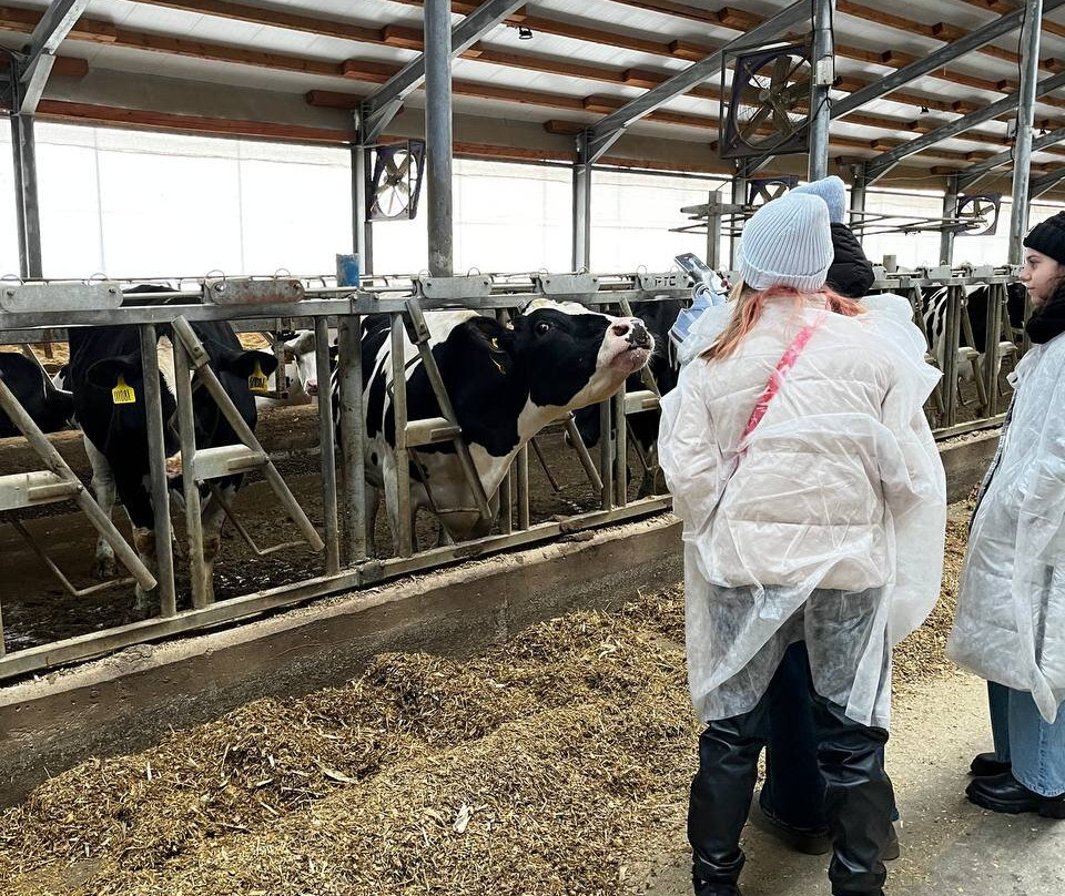 Dairy Farm EkoNiva-Burtsevo必去景点