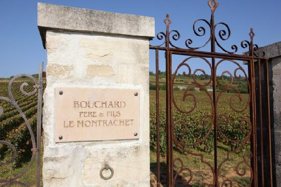 Domaine des Anges主图
