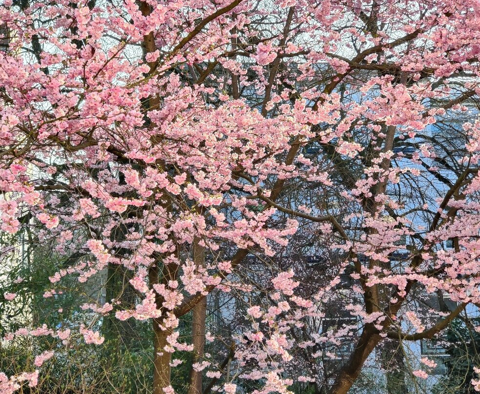 圣安纳酒店主图