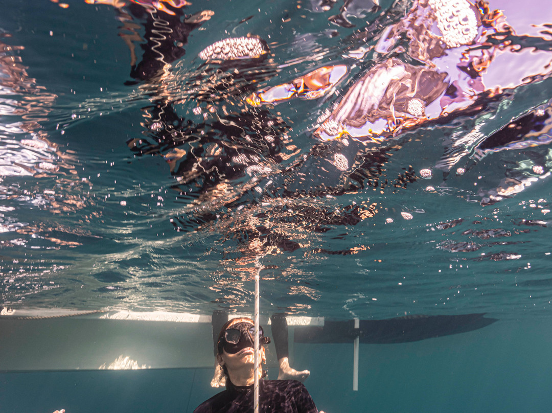 Freedivinglife Riviera Maya-普拉亚德尔卡曼必去景点