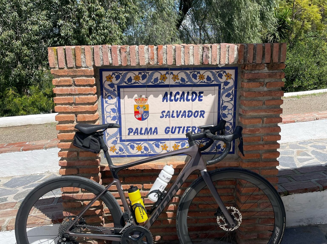 Cycle Malaga景点图片