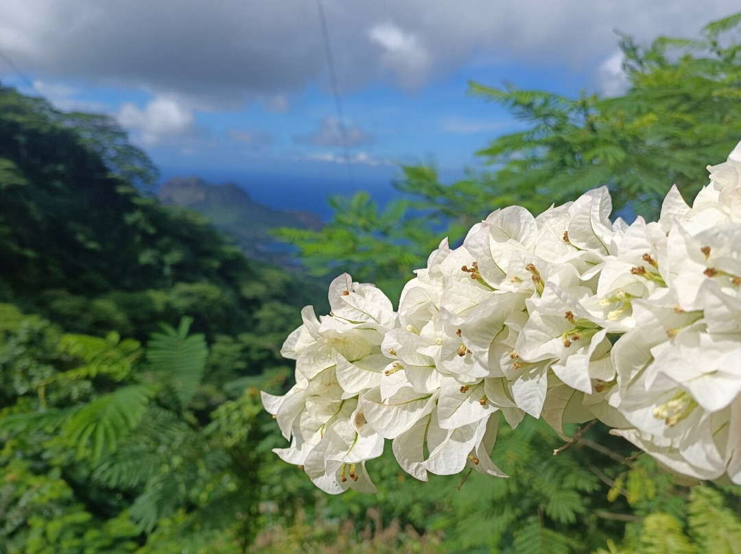 Mate Excursions-Taiohae必去景点