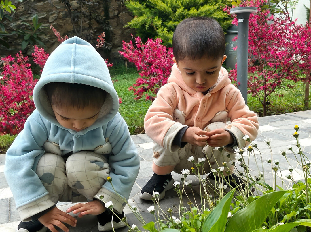 Rah Bagh By The Orchard主图