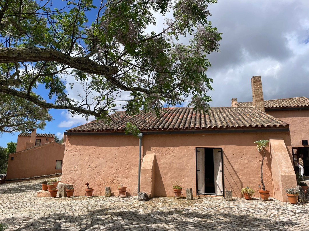 Monterosa Olive Oil Farm-Moncarapacho必去景点