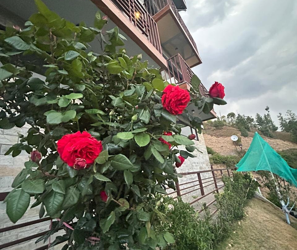 jüSTa Cliffend Resort & Spa, Mashobra主图