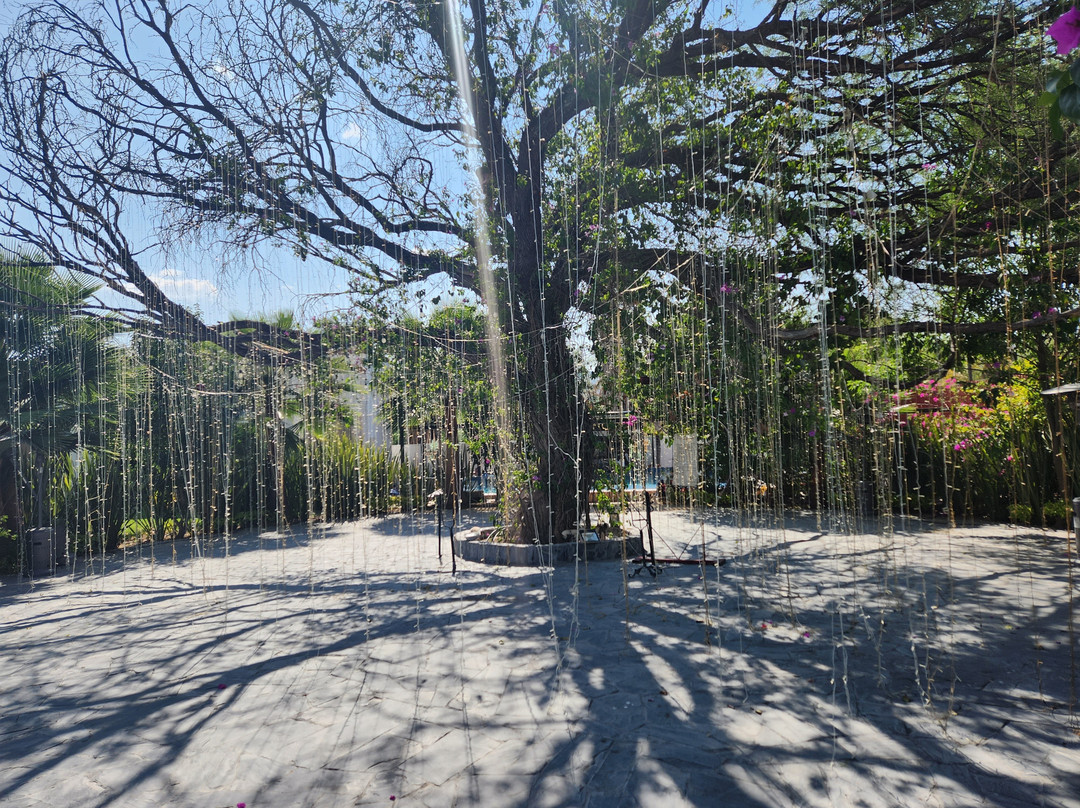 Yolihuani Relax Resort景点图片