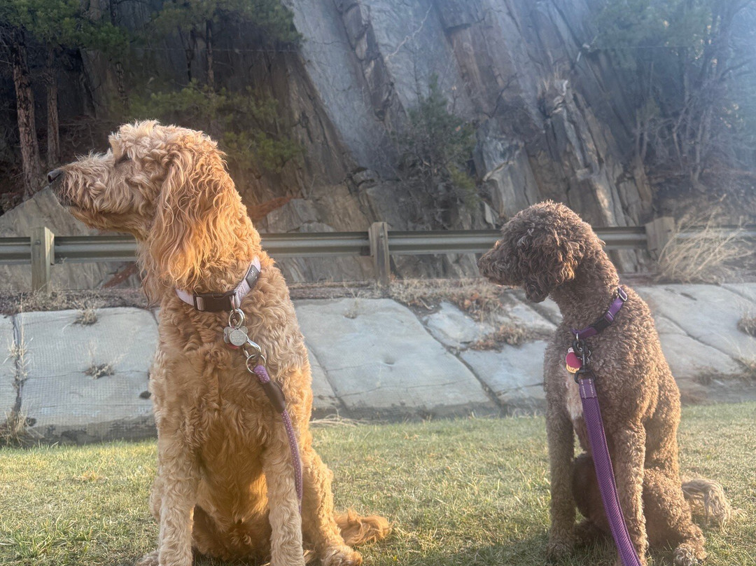 Best Western Holiday Hills主图