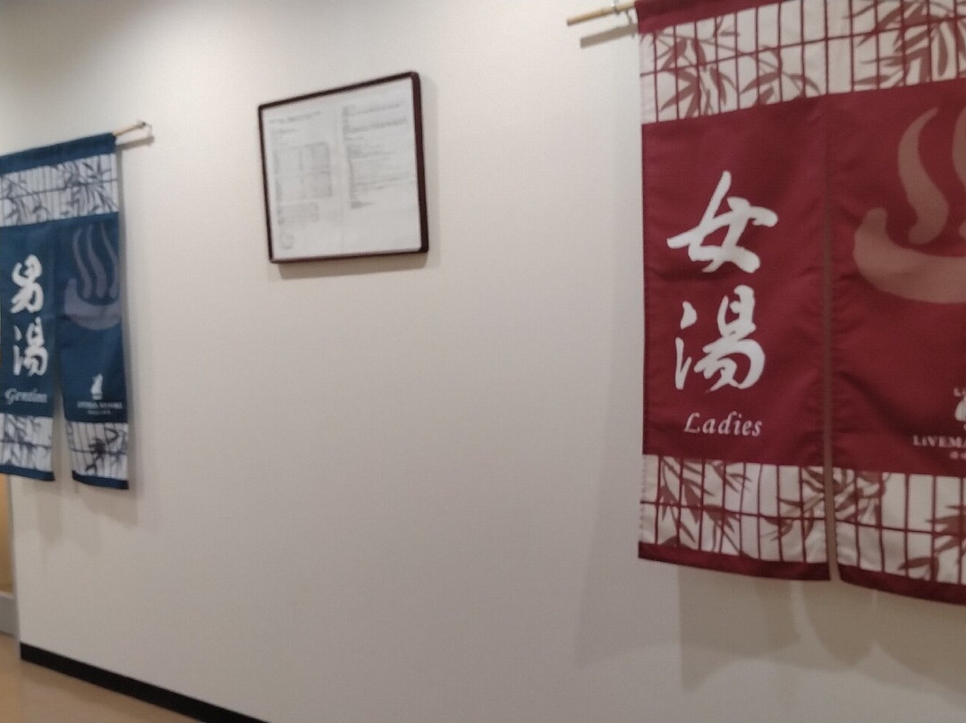 利夫马克斯度假酒店-赞岐盐江温泉主图