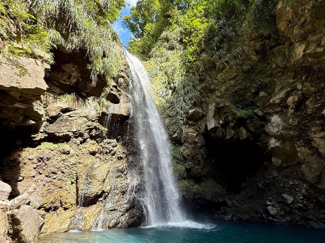 Alex Croisiere Grenadines et Caraibe-Le Marin必去景点