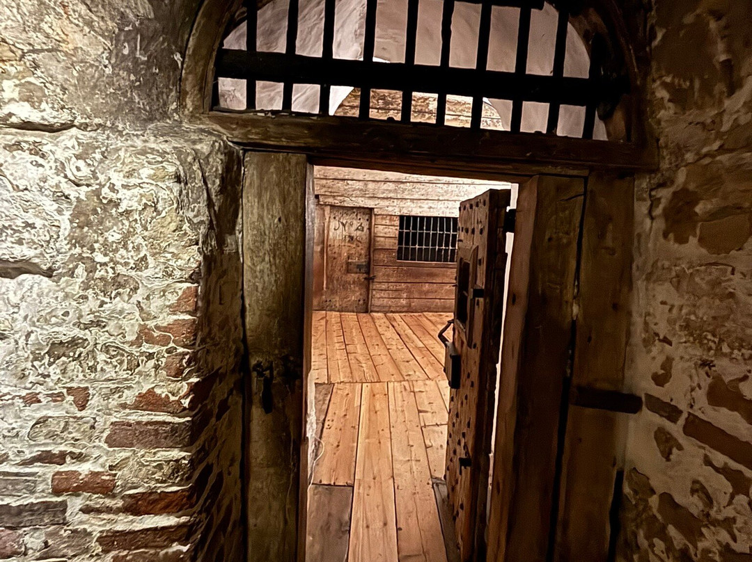 Colchester Castle Museum景点图片