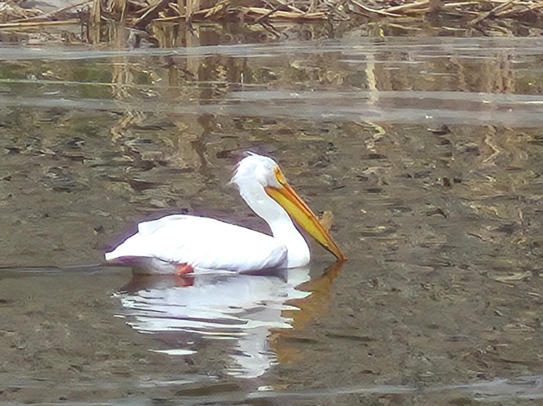 Wascana Centre Park-里贾纳必去景点