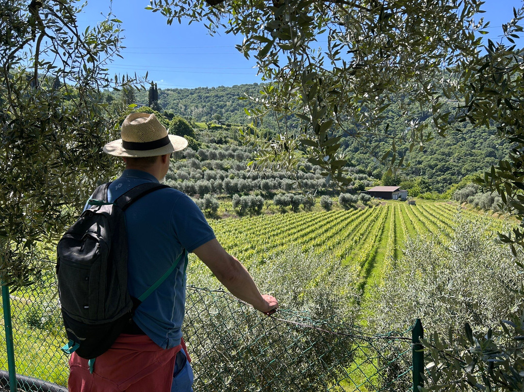 Azienda Agricola Massussi Luigi-伊塞奥必去景点