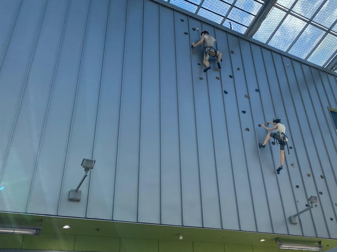 奥克兰塞尔维亚购物中心-Mount Wellington必去景点