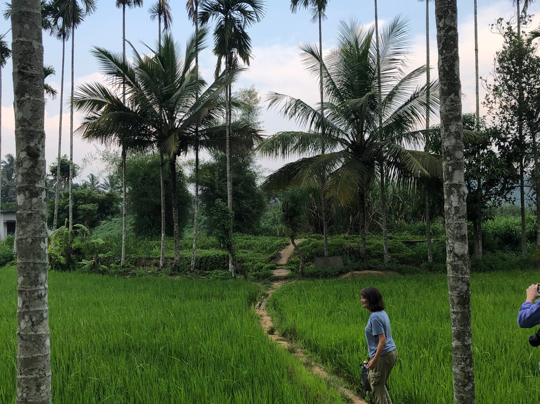 Wayanad Nature Tours-卡尔贝塔必去景点