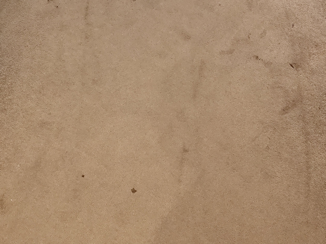 Nailcote Hall Hotel主图