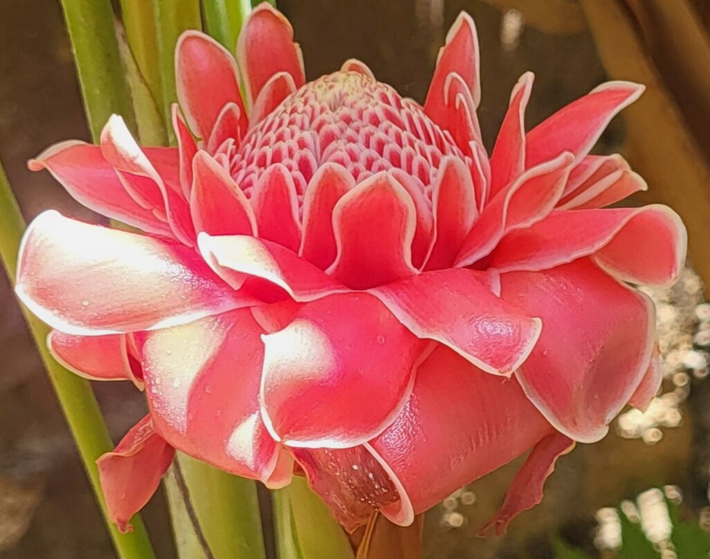 Summer's Ranch-瓦拉塔港必去景点