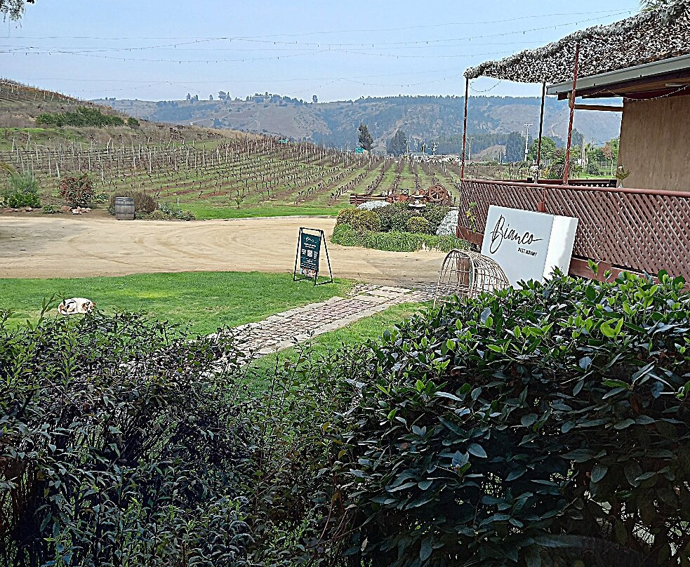 Casa Marin Winery-Lo Abarca必去景点