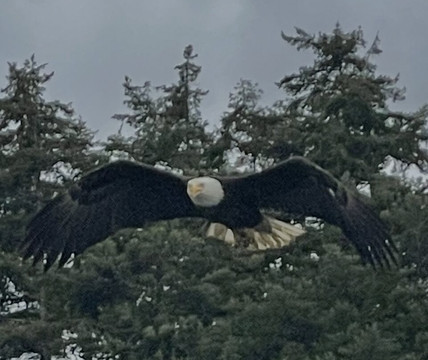 49th Fathom Charters-朱诺必去景点