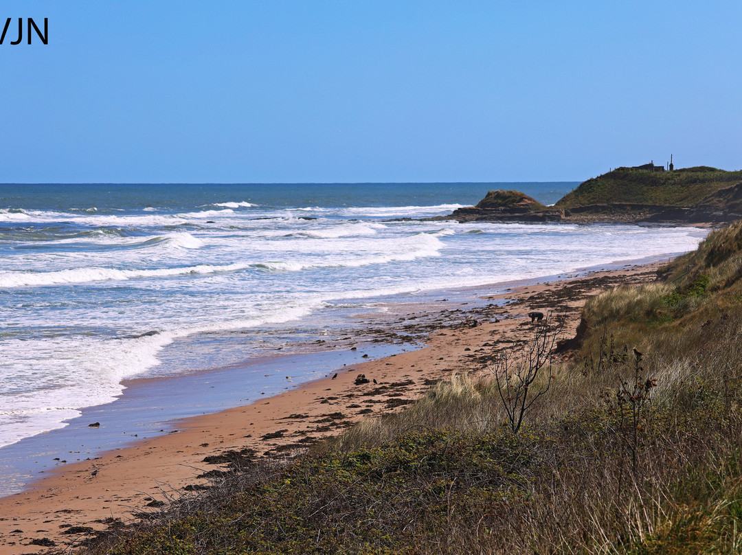 Cresswell Beach景点图片