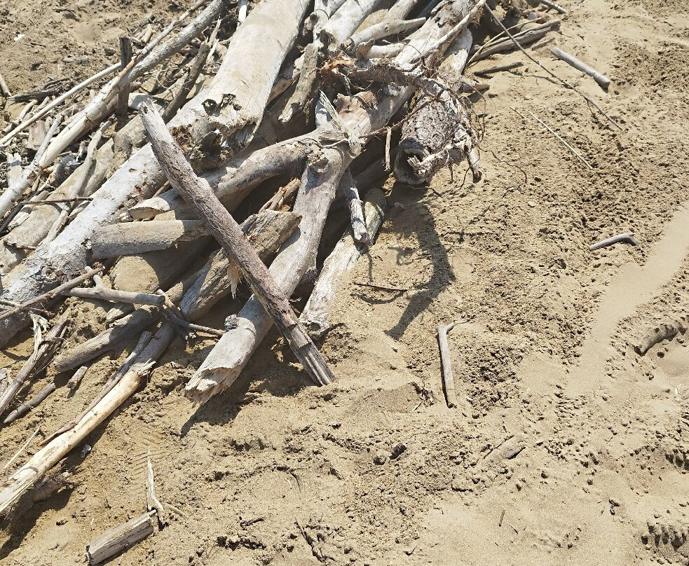 Spiaggia di Jesolo-耶索洛必去景点
