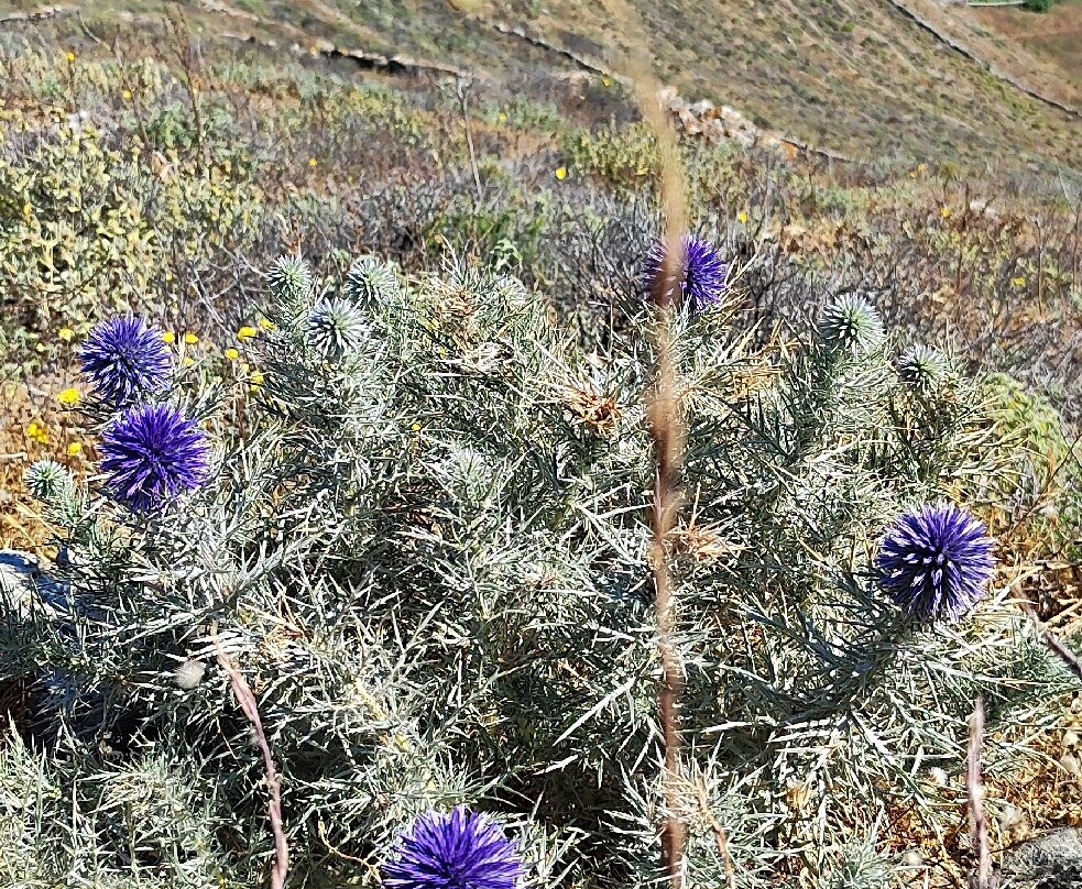 Experience Kythnos-Kithnos Town必去景点