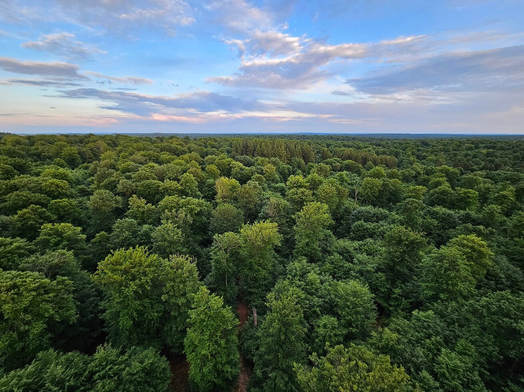 Montgolfiere Ardenne景点图片