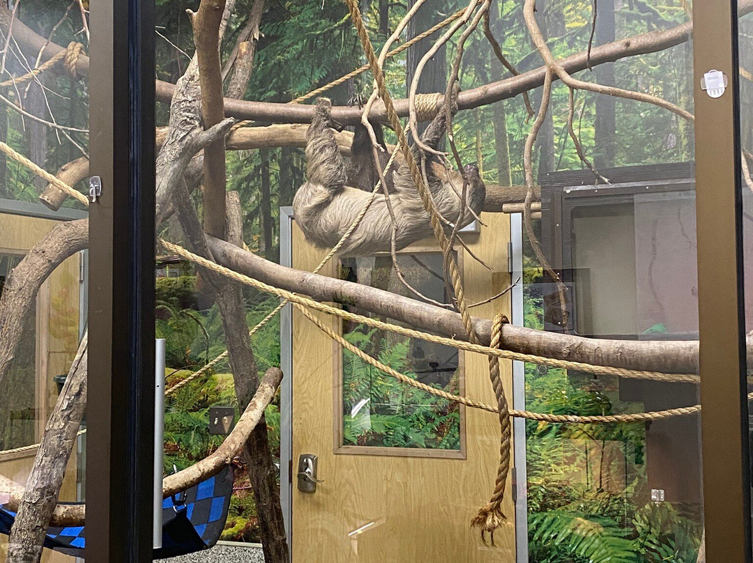 Leesburg Animal Park景点图片