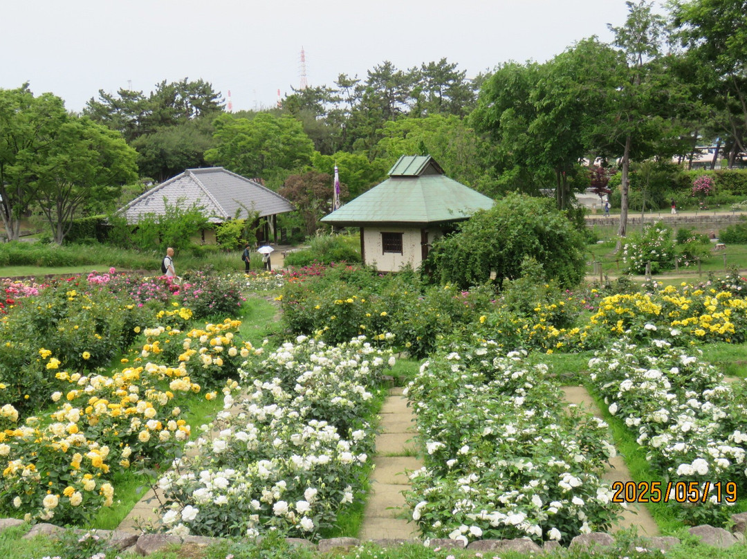 Hamadera Park-坂井市必去景点