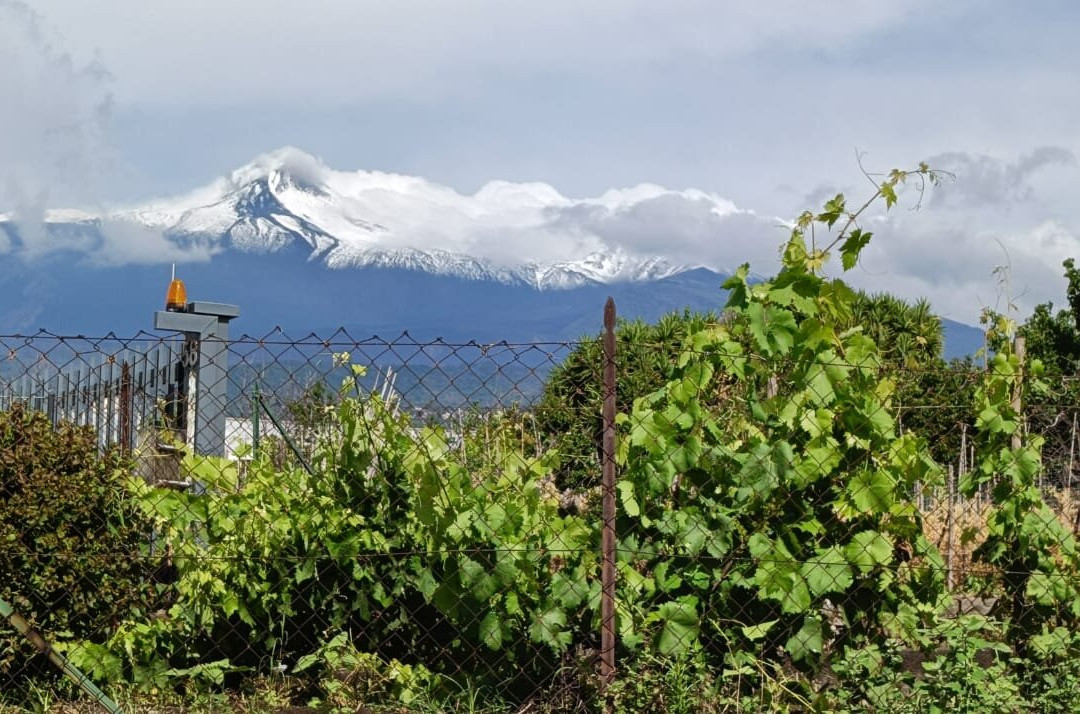 Giardino Arancio主图